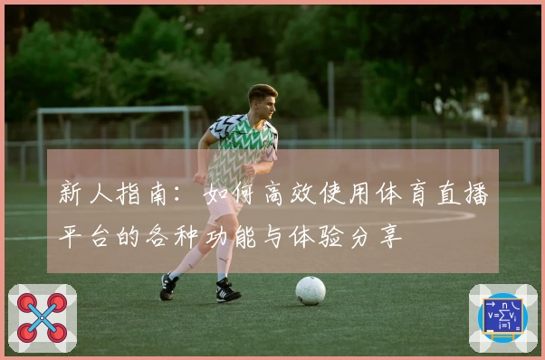 新人指南：如何高效使用体育直播平台的各种功能与体验分享