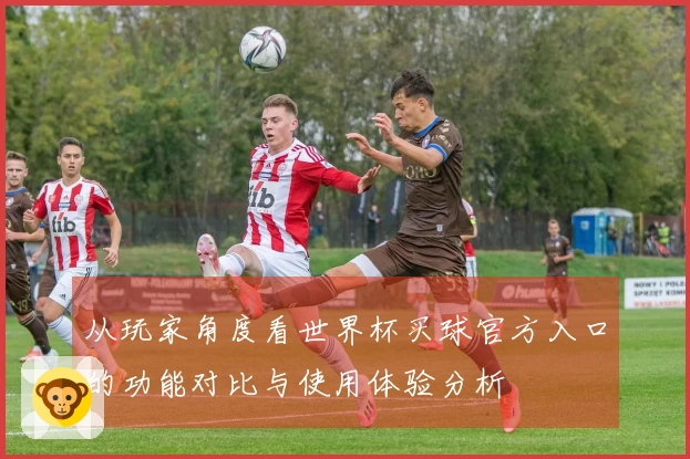 从玩家角度看世界杯买球官方入口的功能对比与使用体验分析