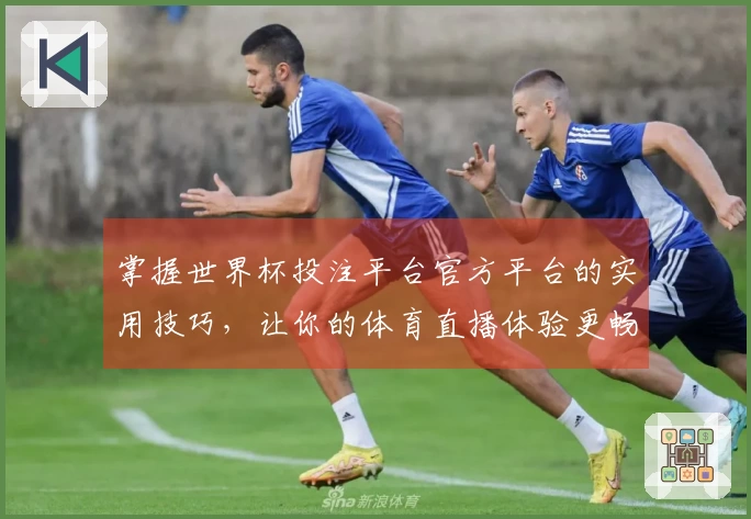 掌握世界杯投注平台官方平台的实用技巧，让你的体育直播体验更畅快