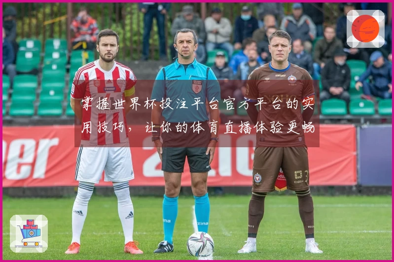 掌握世界杯投注平台官方平台的实用技巧，让你的体育直播体验更畅快