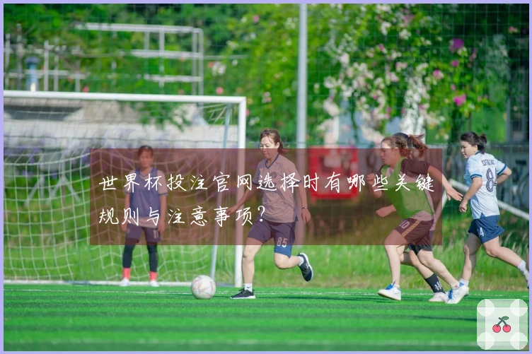 世界杯投注官网选择时有哪些关键规则与注意事项？