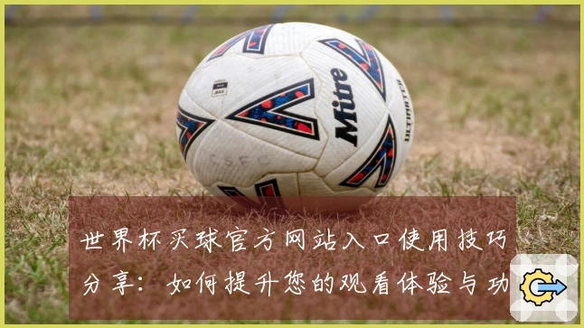 世界杯买球官方网站入口使用技巧分享：如何提升您的观看体验与功能利用