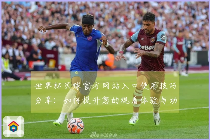 世界杯买球官方网站入口使用技巧分享：如何提升您的观看体验与功能利用