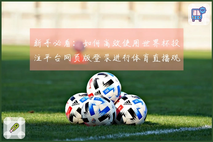 新手必看：如何高效使用世界杯投注平台网页版登录进行体育直播观看