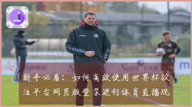 新手必看：如何高效使用世界杯投注平台网页版登录进行体育直播观看